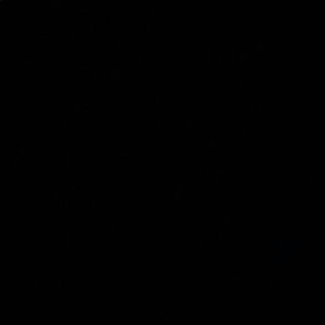 Meet your Posher, Naomi